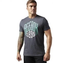 Koszulka treningowa męska Reebok AJ2668. Szare koszulki sportowe męskie Reebok, l, bez wzorów, z materiału, bez kołnierzyka, bez ramiączek, do biegania. Za 109.99 zł.