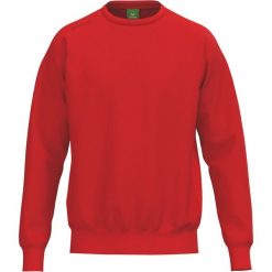 Bluza Erima Ts czerwona Junior. Czerwone bluzy damskie Erima, na lato, bez wzorów, z bawełny, z kapturem. Za 281.99 zł.