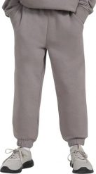 4f Spodnie dla chłopca 4F CAS M1245 szare 4FJWAW25TTROM1245 22S 158cm. Szare spodnie sportowe dla chłopców 4f, bez wzorów, sportowe. Za 71.57 zł.