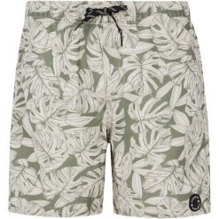 Szorty plażowe chłopięce junior PROTEST PRTColney. Szorty dla chłopców Protest, bez wzorów, sportowe. Za 197.00 zł.