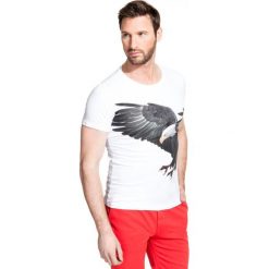 T-shirt STEFANO TSBR000024. Szare t-shirty i topy dla dziewczynek Giacomo Conti, z bawełny, z krótkim rękawem. Za 79.00 zł.