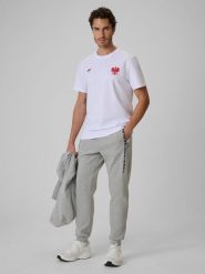 4F Spodnie kibica joggery męskie - szare S. Szare spodnie sportowe męskie 4f, m, bez wzorów, z bawełny. Za 189.99 zł.