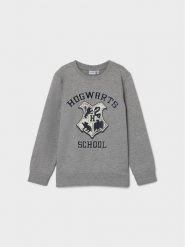 NAME IT Bluza HARRY POTTER 13210593 Szary Regular Fit. Szare bluzy dla chłopców Name it, bez wzorów, z bawełny, bez ramiączek, bez kaptura. Za 159.99 zł.