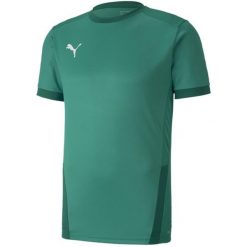 Koszulka do piłki nożnej męska Puma teamGOAL 23 Jersey. Zielone koszulki sportowe męskie Puma, l, bez wzorów, z jersey, bez kołnierzyka, bez ramiączek, do piłki nożnej. Za 153.00 zł.
