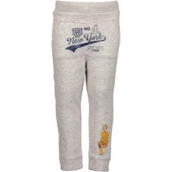 Blue Seven Spodnie Dresowe Chłopięce 110 Szare. Niebieskie spodnie sportowe dla chłopców Blue Seven, z bawełny. Za 69.00 zł.