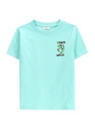 Coccodrillo T-Shirt WC5143212VBD Zielony Regular Fit. Zielone t-shirty dla chłopców COCCODRILLO, bez wzorów, z bawełny, bez ramiączek. Za 39.99 zł.