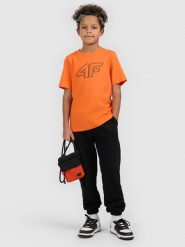 4F T-shirt regular z nadrukiem chłopięcy - pomarańczowy 140 (9-10 lat). Brązowe t-shirty dla chłopców 4f, bez wzorów, z bawełny, bez ramiączek. Za 39.99 zł.