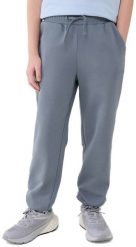 4f SPODNIE DRESOWE CHŁOPIĘCE SPORTOWE SPODNIE 4F M1186 SZARY r. 122. Szare spodnie sportowe dla chłopców 4f, bez wzorów, z dresówki, sportowe. Za 59.00 zł.