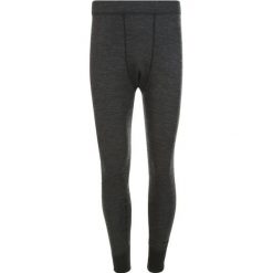 Legginsy Whistler Bradley. Szare legginsy sportowe męskie Whistler, m, bez wzorów, narciarskie. Za 245.50 zł.