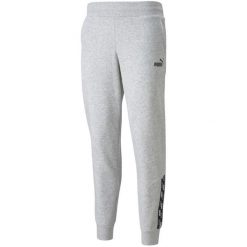 Spodnie damskie Puma Power Pants FL szare. Szare spodnie materiałowe damskie Puma, m, bez wzorów. Za 143.00 zł.
