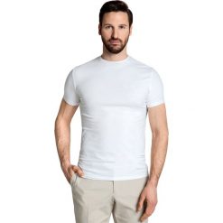 T-shirt ANGELO 15-02R. T-shirty męskie marki Giacomo Conti. Za 79.00 zł.