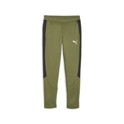 Spodnie Puma Evostripe Dk. Zielone szorty męskie Puma, m, bez wzorów, z dresówki. Za 182.99 zł.