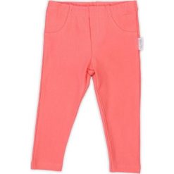 NICOL Legginsy getry spodnie dziewczęce Alice Nicol 104. Legginsy dla dziewczynek NICOL, bez wzorów. Za 26.99 zł.