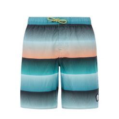 Spodenki kąpielowe dla dzieci Protest Ray. Niebieskie kąpielówki dla chłopców Protest, bez wzorów. Za 175.50 zł.