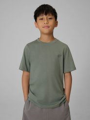 4F T-shirt regular gładki (2-pack) chłopięcy - multikolor 158/164 (12-14 lat). T-shirty dla chłopców 4f, bez wzorów, z bawełny, bez ramiączek. Za 49.99 zł.
