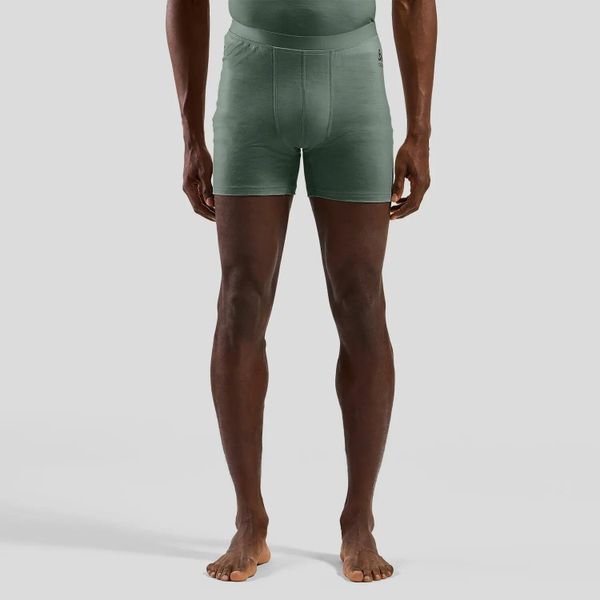 Bokserki Odlo Boxer MERINO 160. Szare bokserki męskie Odlo, m, bez wzorów, z materiału. Za 249.99 zł.
