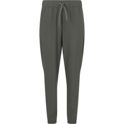 Damskie spodnie dresowe Endurance Chaya. Szare obuwie sportowe damskie Endurance, bez wzorów, z dresówki, do biegania. Za 219.50 zł.