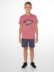 Koszulka chłopięca Protest PRTWOLLEF JR t-shirt. Czerwone t-shirty dla chłopców Protest, bez wzorów, z dresówki, bez ramiączek. Za 79.90 zł.