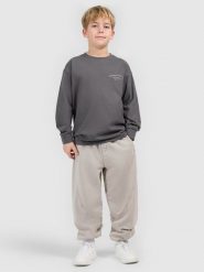 4F Longsleeve loose z nadrukiem chłopięcy - szary 146 (10-11 lat). Szare t-shirty dla chłopców 4f, bez wzorów, z dzianiny, bez ramiączek. Za 69.99 zł.