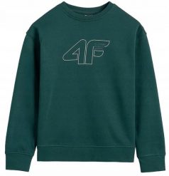 4f BLUZA DRESOWA BEZ KAPTURA CHŁOPIĘCA BAWEŁNIANA M1960. Bluzy dla chłopców 4f, bez wzorów, z bawełny, bez ramiączek, bez kaptura. Za 59.00 zł.