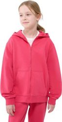 Bluza dla dziewczynki 4F F1853 fuksja 4FJWSS25TSWSF1853 55S 128cm. Czerwone bluzy dla dziewczynek 4f, bez wzorów, bez ramiączek, bez kaptura. Za 151.27 zł.