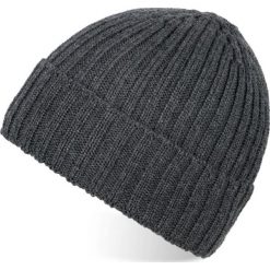 Czapka zimowa męska szara PAOLO PERUZZI A-06-GR. Szare czapki i kapelusze męskie Paolo Peruzzi, na zimę, bez wzorów, z materiału. Za 59.99 zł.