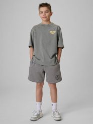 4F Spodenki dresowe chłopięce - szare 152 (11-12 lat). Szare szorty dla chłopców 4f, bez wzorów, z dresówki. Za 69.99 zł.