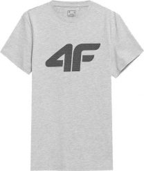 4f T-shirt męski 4F Koszulka z nadrukiem SZARA L. Szare t-shirty męskie 4f, l, bez wzorów, bez kołnierzyka. Za 39.95 zł.