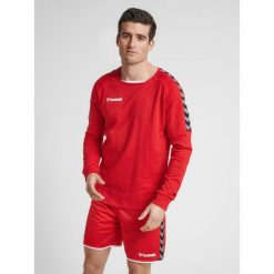 Bluza Hummel hmlAUTHENTIC Training. Czerwone bluzy męskie Hummel, m, bez wzorów, bez kaptura. W wyprzedaży za 172.00 zł.