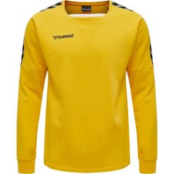 Bluza Hummel hmlAUTHENTIC Training. Żółte bluzy męskie Hummel, m, bez wzorów, bez kaptura. Za 211.00 zł.