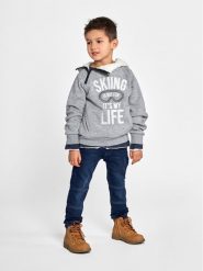 Birba Trybeyond Bluza 999 76933 00 Szary Regular Fit. Szare bluzy dla chłopców Birba Trybeyond, bez wzorów, z bawełny, bez ramiączek, bez kaptura. Za 99.99 zł.
