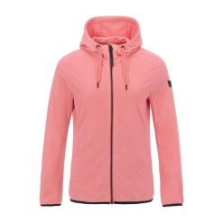 Damska Bluza Polarowa Ellula Z Pełnym Zamkiem Błyskawicznym. Czerwone bluzy damskie Regatta, na zimę, bez wzorów, z polaru, bez kaptura. Za 198.99 zł.