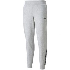 Spodnie damskie Puma Power Pants FL szare. Szare spodnie materiałowe damskie Puma, m, bez wzorów. Za 220.31 zł.