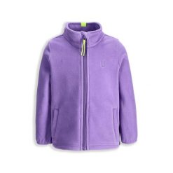 Bluza turystyczna dziewczęca bluza polarowa Lemon explore ZL6. Fioletowe bluzy dla dziewczynek LEMON explore, na zimę, z aplikacjami, z materiału, bez ramiączek, bez kaptura. Za 99.90 zł.
