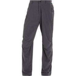 Adidas Performance TERREX LITEFLEX Spodnie materiałowe grey five. Spodnie sportowe męskie adidas Performance, z elastanu, sportowe. Za 349.00 zł.