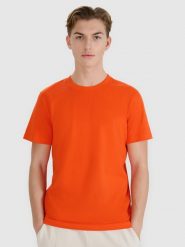 4F T-shirt regular z nadrukiem męski - pomarańczowy M. Brązowe koszulki sportowe męskie 4f, m, bez wzorów, z bawełny, klasyczne, bez kołnierzyka. W wyprzedaży za 39.99 zł.