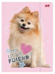 Unipap Teczka z gumką A4 My Little Friend Dog. Torby i plecaki dziecięce Unipap. Za 13.26 zł.