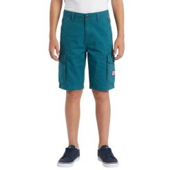 Spodenki turystyczne dla dzieci Billabong All Day Cargo. Niebieskie szorty dla chłopców Billabong, na lato, bez wzorów, z bawełny, klasyczne. Za 97.00 zł.