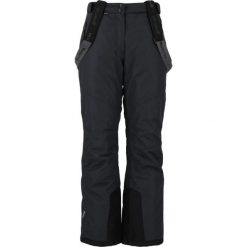 Spodnie narciarskie damskie Whistler Fairway W-PRO 10000. Czarne spodnie materiałowe damskie Whistler, s, bez wzorów, z materiału, z standardowym stanem. Za 224.99 zł.