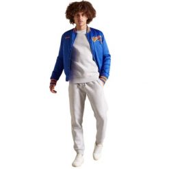 Bluza turystyczna męska Superdry Vintage Logo. Szare bluzy męskie Superdry., m, bez wzorów, z bawełny, bez kaptura. W wyprzedaży za 145.00 zł.