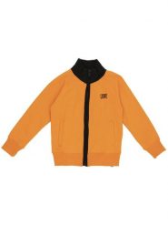 Bluza z kaptur na co dzień na siłownię. Brązowe bluzy męskie LEONE 1947 APPAREL, bez wzorów, bez kaptura, na fitness i siłownię. Za 84.16 zł.