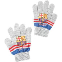 Szare Rękawiczki Defender. Rękawiczki dziecięce marki Born2be. Za 9.99 zł.