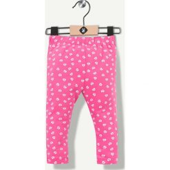 Spodnie w kolorze fuksji. Spodenki niemowlęce Grain de blé et Lisa Rose. W wyprzedaży za 29.95 zł.