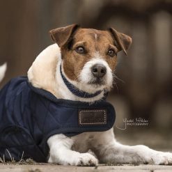 Płaszcz dla psa Kentucky Original 160g. Niebieskie płaszcze męskie KENTUCKY HORSEWEAR, l, bez wzorów, z materiału, klasyczne, bez kaptura. Za 362.00 zł.
