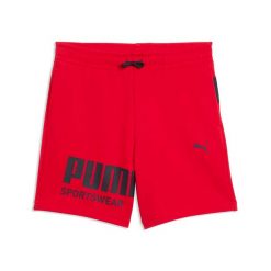 Puma Sport Graphic Shorts Tr B Spodenki Dzieci. Czerwone szorty dla chłopców Puma, bez wzorów, z bawełny, sportowe. Za 171.99 zł.
